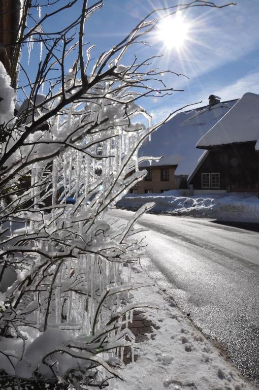 Hotel Hirschen Menzenschwand Exterior photo